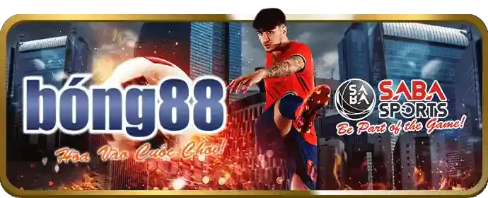 Hướng dẫn cá cược thể thao tại VN6 Link Mới