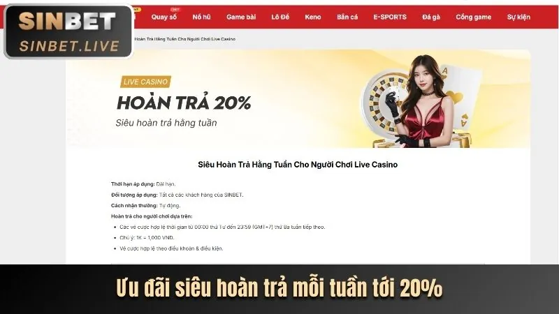 Truy cập trang chủ VN6 chính thức